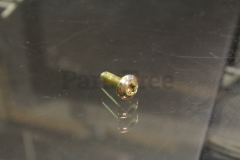 Exmark 132-3111 Screw, Tsprh