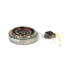 Snapper 555773 Kit-Flywheel/Stator - image 1