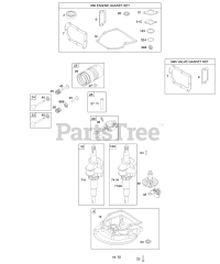 Briggs & Stratton 9T702-3858-E1 - Briggs & Stratton Vertical Engine Camshaft, Crankcase Cover/Sump, Crankshaft, Gasket Set - Engine, Gasket Set - Valve, Piston/Rings/Connecting Rod