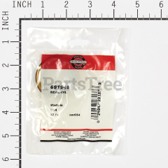 Snapper 299609 Use 691948: Seal  Oil - image 4