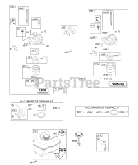 Briggs & Stratton 12C314-0131-E1 - Briggs & Stratton Horizontal Engine Carburetor, Fuel Supply