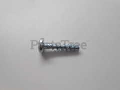 RedMax 530016317 Screw - image 1