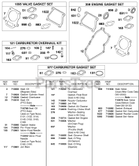Briggs & Stratton 138437-0140-E1 - Briggs & Stratton Horizontal Engine Carburetor Overhaul Kits, Engine Gasket Set, Valve Gasket Set