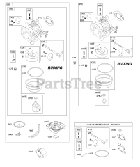 Briggs & Stratton 305777-0129-E1 - Briggs & Stratton Vertical Engine Carburetor (Ruixing)