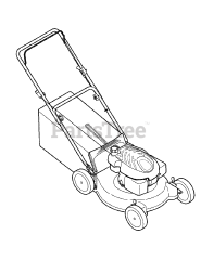 MTD 11A-41MB006 - MTD Walk-Behind Mower (2009)