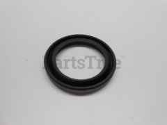 Briggs & Stratton 294606 Oil Seal - image 2