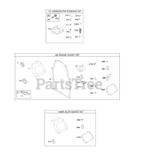 Briggs & Stratton 305447-3075-G1 - Briggs & Stratton Horizontal Engine Carburetor Overhaul Kit, Engine &amp; Valve Set