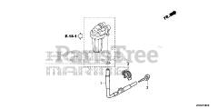 Honda BF250 A XXCA (BBJJ) - Honda Marine Engine, Made in Japan (SN: BBJJ-8000001 - BBJJ-9999999) FUEL TUBE (2)