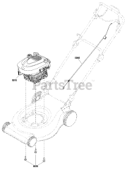 Snapper ERDV 19850EHW (881587) - Snapper 19" Walk-Behind Mower