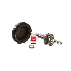 Snapper 490604 Use 595094: Flywheel/Gear Assy - image 1