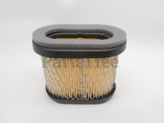 Snapper 498596 Use 697029: Filter  Air Assy - image 5