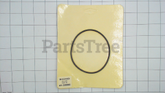 Echo 4100000 O-Ring, Pressure Tank