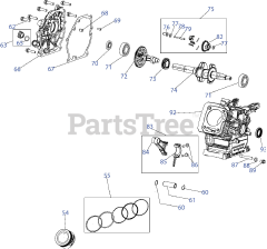 Troy-Bilt 165-WU - Troy-Bilt 179cc Engine 165-WU Crankcase