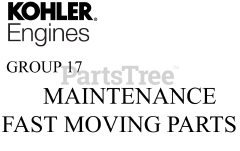 Kohler ZT730-3027 - Kohler Confidant Engine, Made for Excel, 23hp, 747cc 17 Maintenance-Fast Moving Parts
