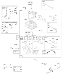Briggs & Stratton 381772-0102-E1 - Briggs & Stratton Vertical Engine Carburetor, Fuel Supply, Carburetor Overhaul Kit