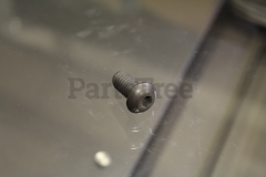 Toro ST80093 Screw-Hh
