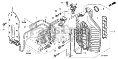 Honda BF175 AK1 XA (BAJJ) - Honda Marine Engine, Made in Japan (SN: BAJJ-1300001 - BAJJ-9999999) INTAKE MANIFOLD
