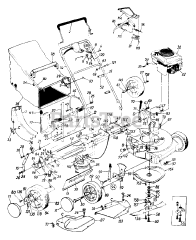 Montgomery Ward TMO-3746606 (122-836R088) - Montgomery Ward Signature Walk-Behind Mower (1992)