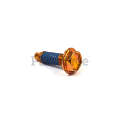 Briggs & Stratton 692523 Screw - image 5