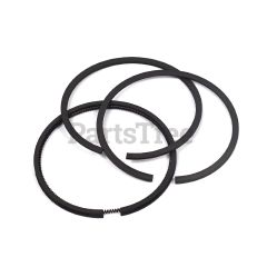 Snapper 393883 Use 690016: Ring  Piston Kit - image 1