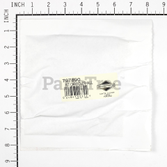 Snapper 499811 Carburetor Overhaul Kit - image 4