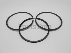 Simplicity 497522 Use 495854: Ring  Piston Kit - image 1