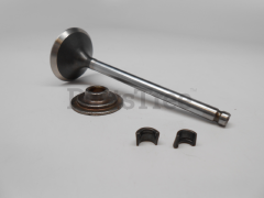 Simplicity 695760 Exhaust Valve - image 1