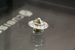 Generac 0G02070164 Thermostat