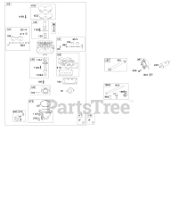 Briggs & Stratton 49T877-0013-G1 - Briggs & Stratton Vertical Engine Carburetor, Fuel Supply