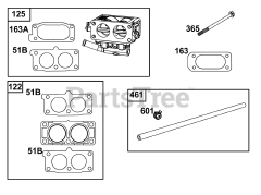 Briggs & Stratton 613277-0120-E1 - Briggs & Stratton Horizontal Engine Carburetor and Fuel Supply Group
