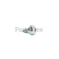 Briggs & Stratton 699200 Screw - image 3