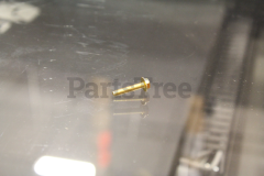 Briggs & Stratton 699477 Screw - image 4