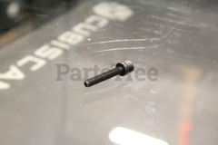 Echo V204000450 Socket Head Washer Bolt