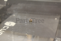 Briggs & Stratton 710863 Seal-Valve - image 2