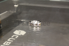Echo 17720244331 Starter Pawl Assembly - image 3