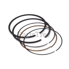 Briggs & Stratton 594437 Ring Set - image 3