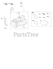 Briggs & Stratton 124P02-0007-F1 - Briggs & Stratton Vertical Engine Cylinder Group