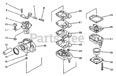 Echo PE-2201 A - Echo Edger
