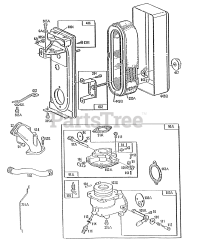 Briggs & Stratton 170432-2162-01 - Briggs & Stratton Horizontal Engine Carburetor &amp; Fuel Assy