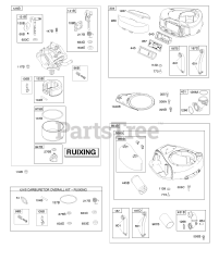 Briggs & Stratton 31E777-0118-B1 - Briggs & Stratton Vertical Engine Air Cleaner, Blower Housing, Carburetor - Ruixing, Kit - Carburetor Overhaul - Ruixing