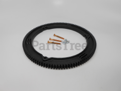 Briggs & Stratton 499612 Gear Ring - image 2