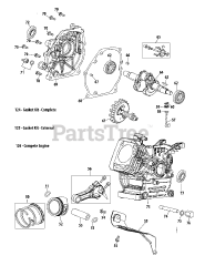Troy-Bilt 165-SUC - Troy-Bilt Engine 165-SUC Crankcase