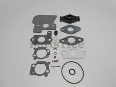 Simplicity 499685 Use 792383: Carburetor Overhaul Kit - image 1