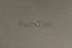 Echo 12433221330 Pin - image 2