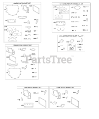 Briggs & Stratton 407777-0100-E1 - Briggs & Stratton Vertical Engine Engine/Valve Gasket Set, Carburetor Overhaul Kit