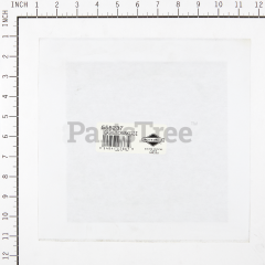 Snapper 555237 Gasket-Crankcase - image 2