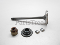 Snapper 841891 Use 844787: Valve-Exhaust - image 1