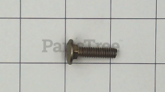 Simplicity 002X98 Bolt, 1/4-20 X1 Gr5 - image 1