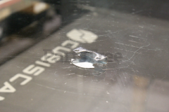 Echo A244000020 Prevent Plate - image 1