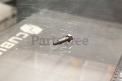 Echo 43261721060 Shoulder Screw - image 3